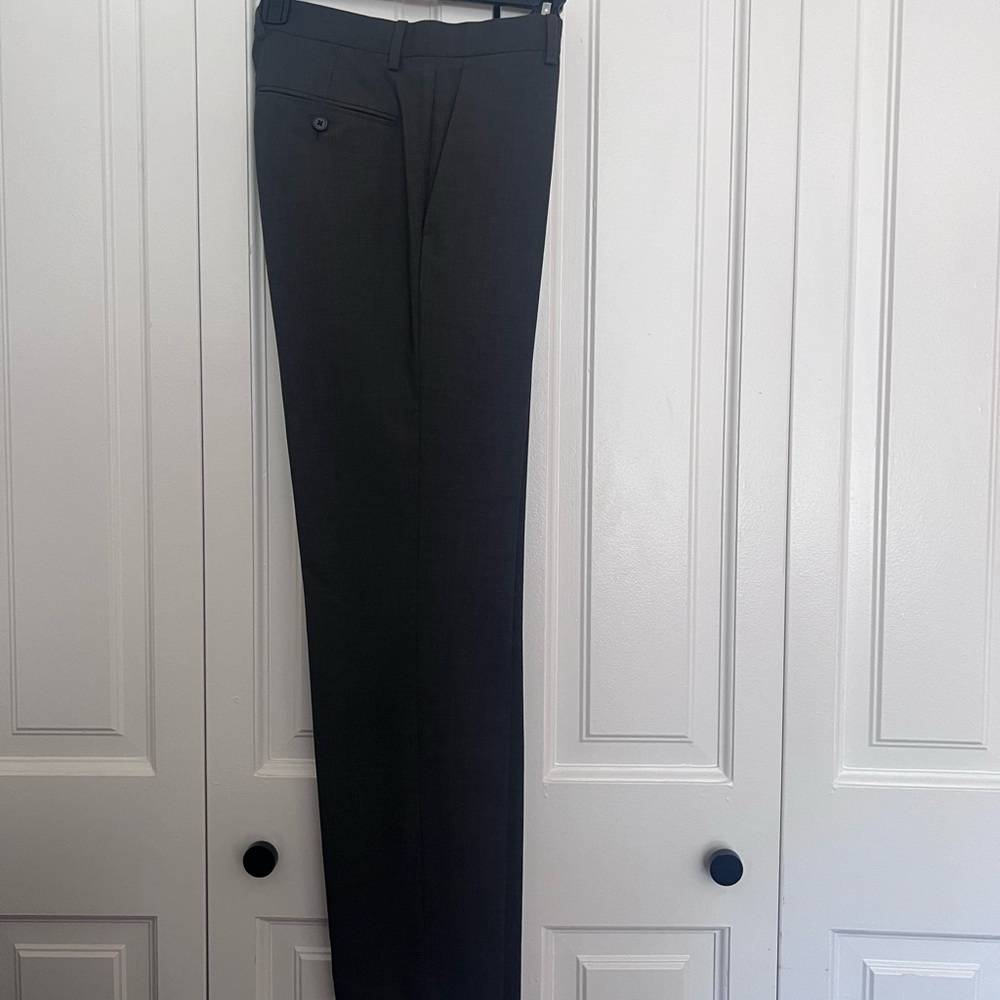 NWOT THEORY PANTS